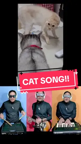 Cat song, cat music! 🐱🎵❤️ #catsoftiktok #catsong #catmusic #pets #cute #cutecat #atilakw #remix 