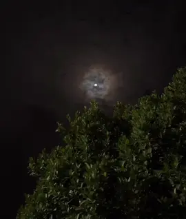 🤍🥺. #fyp #foryou #منصور_السالمي #مالي_خلق_احط_هاشتاقات 