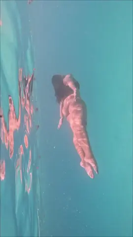 Swimming like a mermaid 🤍🧜🏽‍♀️ #aureafebraio #Lifestyle #holidays #mallorca #spain 