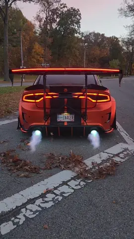one way to clean up leaves. #hellcat #dodge #hellcatcharger #hellcat_enforcer #mopar #tiktokcars #neverridestop         custom widebody charger hellcat, spitting flames.