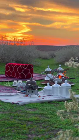 شمس المحبة للغيآب استعدت  ولآ عآد لي في ظل رجوآك مقيآل..👌🏼 الآصفر بالبايو مرحباً بالجميع 💛 #البر #الغضا #الحره #أمطار #كشتات #النفود #اكسبلور #قهوه #طلعه #الطويل_راف_الحصان #شعر_غزل #ربيع_الشمال #تصويري#راف#حلمه#الجوف #تصويري #حايل #سكاكا #طبرجل #الحدود_الشمالية #طريف #ضو #بروق#ترند#تصوير #اكسبلورر 