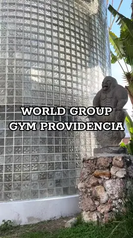 qué otro gum de guadalajra debería calificar?? 💪🏻 #gym #fyp #GymTok 