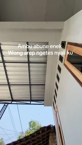 #abcxyz #fypdongggggggg #bosmuda #🥀 #jowopride 