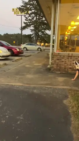 2 cars? #therian #theriancommunity #quadrobics #quad #therianthropy #fyp 