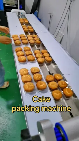 Cake packing machine#tiktok #foryou #cakepackingmachine #packingmachine #pillowpackingmachine #foodpackingmachine 