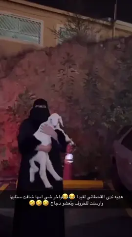 ندى القحطاني وذباتها وسوالفها الي تموت ضحك 😂😂😭#🤣🤣😭😭 #مشاهير_تيك_توك_مشاهير_العرب #اكسبلورexplore 