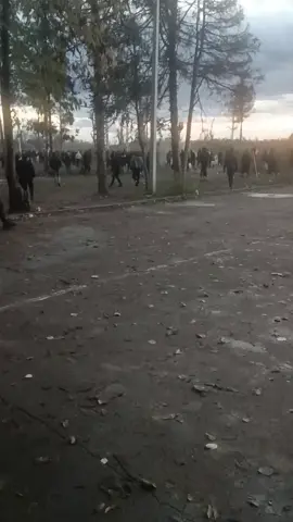 #صربيا🇷🇸 #كم سومبر #حملة😅🇷🇸 #البوسرايا 