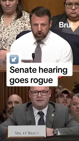 “You’re a United States senator. Sit down!”  A brawl almost broke out during a Senate hearing … 