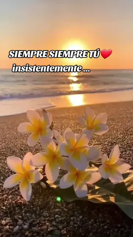 #adamoyromina #siempresiempretu🎶💕 #baladasdeoro🤎 #paradedicar🙈❤️🙈 #baladasparaestados #paramiamorcito😍💕💋😘viral 