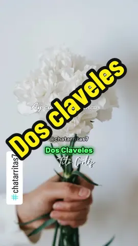 DOS CLAVELES. Canción interpretada por el cantautor colombiano Tito Cortés, en el año 1966. Compuesta por el compositor colombiano José Benito Barros. #chatarritas7  #dosclaveles #titocortes #josebenitobarros #colombia #chatarritas #chatarritasenespañol #musicaromantica #baladasdesiempre #enamorados #despechados #rocola #recordaresvivir #años60 #madres #capcut 