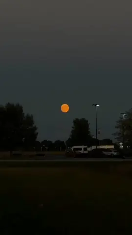 ᵗᵃᵍ 𝘀𝗼𝗺𝗲𝗼𝗻𝗲 ❤️‍🩹💕🥺#aestheticc_words1 