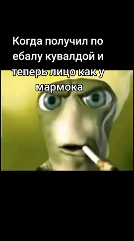 кок я могу быть мармакам#атмосфернинько #fypシ #whizz #tt #глист#жизненное 