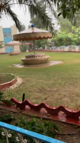 _ياكل الامَاني والدنيا مَطر🤎.            #جامعه_تكريت #قانون #explore #ماجد_المهندس #مطر 