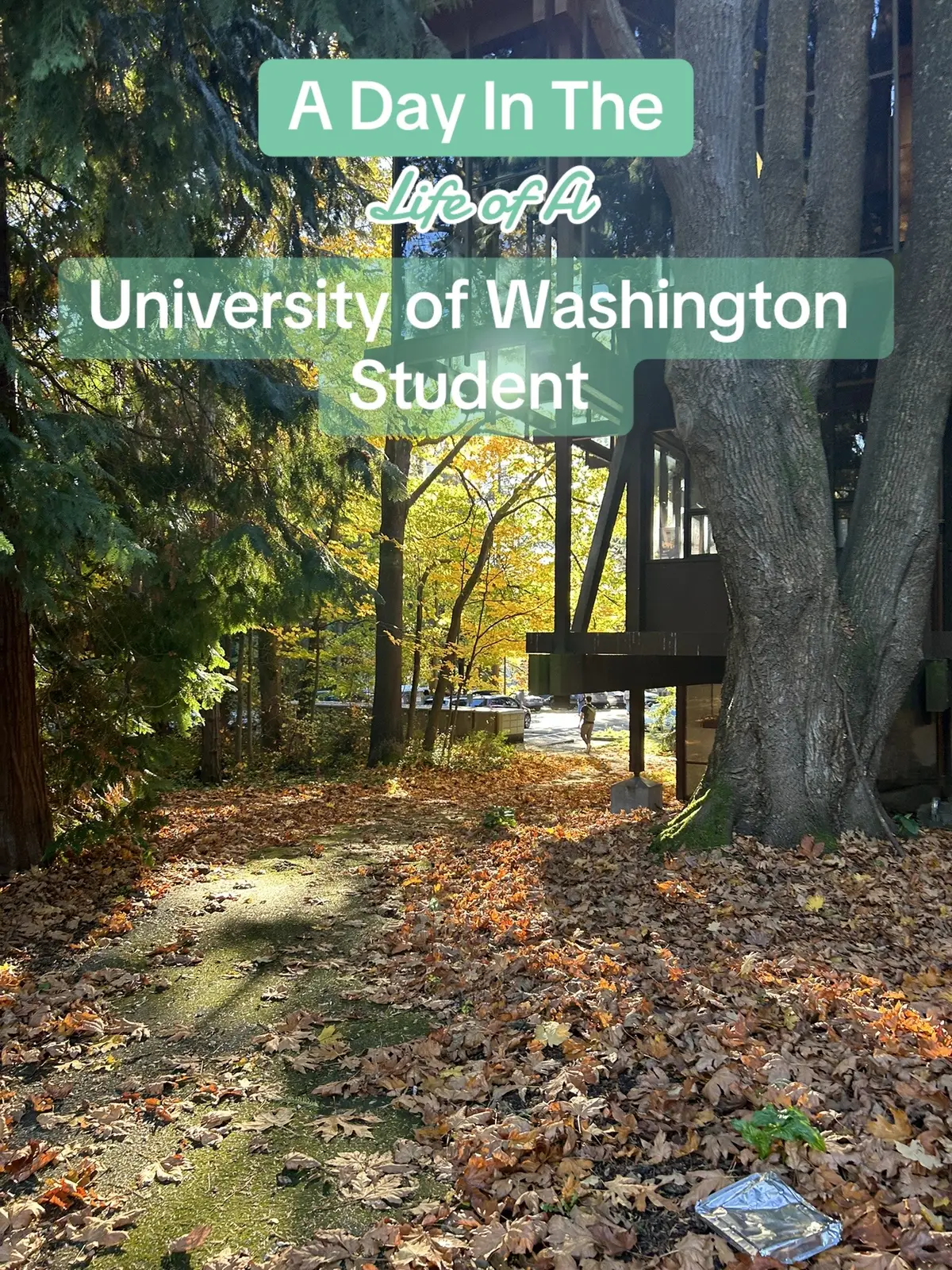 #Vlog #college #dayinmylife #fyp #universityofwashington 