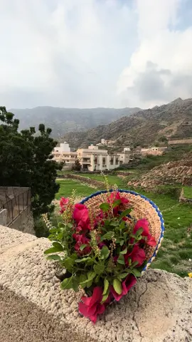 #المجاردة_النماص_عسير_خاط #ختبه_مجارده_خاط_النماص #تنومة_بني_شهر 