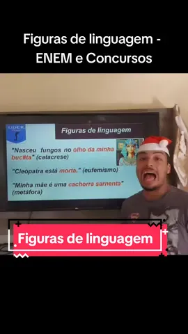 Figuras de linguagem #leonardobrynne 