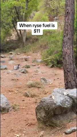 Dont sleep on the $1 a can deal with free shipping #jackeditalian #Fitness #fulldayofeating #bodybuilding #fitnessmotivation #fit #workoutmotivation #starbucks 