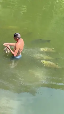 #valdemir  encantador de peixes gigante 