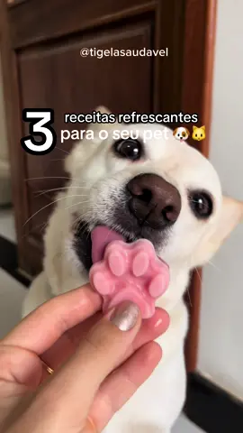 ☀️Vamos refrescar os nossos pequenos? A onda de calor chegou e o verão está se aproximando! Que tal refresca-los de uma maneira saudável e saborosa? Tenho certeza que o seu pet vai amar! 💚Os petiscos são uma ótima forma de agradar os nossos pequenos e podemos usar de forma estratégica! Além de refrescar, o objetivo desses petiscos é de manter a hidratação em dia, por isso a importância de usar frutas ricas em água ou sempre adicionar um pouquinho a mais de água 💦