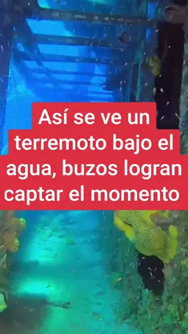 Un grupo de buzos logran captar el momento en el que sucede un terremoto bajo el mar en las costas de Indonesia. #buzos #mar #oceano #sismos #terremoto #noticias #impactante #indonesia #arrecife #arrecifedecoral #temblor 