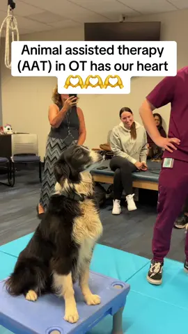 The OT-2s learned about  incorporaing animals into therapy, and its safe to say, it was a great day :)  #animals #animaltherapy #ot #gradschool #mwu #phoenix 