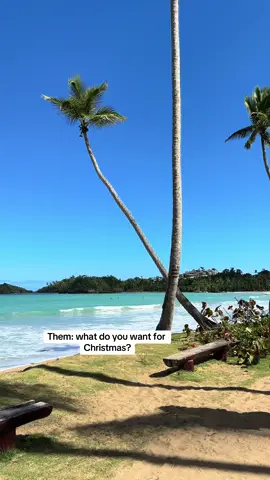 A cuanto que estan los vuelos? 😭🤍  #takemehome #dominicanrepublic #bachata #republicadominicana #bachata #RD #DR #playa #Home #caribe #carribean #dominicans #dominicana #dominicansbelike #lasterrenas #traveltok #navidadendominicana🇩🇴🇩🇴 