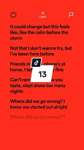 13 - LANY #lyricss #spotify #janelyricssss #13 #lany #fypシ゚viral #fyp #foryuoupage 