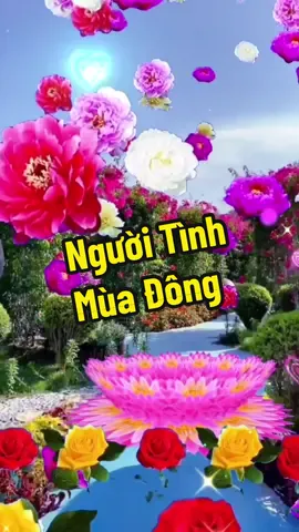 Đường vào tim em ôi băng giá...#MuaCuoi #Wedding #phuong_tthuy #capcutmaster #NhạcXuHướngTikTok #xuhuongtiktok #bolero 