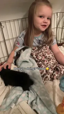 Just raising the next generation of crazy cat ladies @shelbykay #catrescue #catsoftiktok #kittensoftiktok #kitten #crazycatlady 