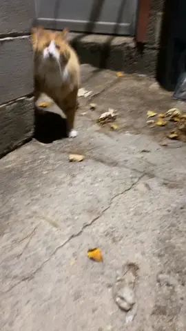 Im being watched #fyp #philly 