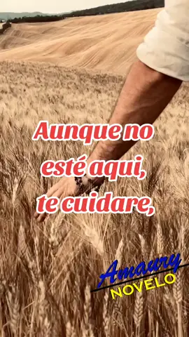 #amaurynovelo #FanFavorite #videoviral #apoyotiktok #sigueme❤️ #mascontenido #variedades #recuerdame #noviembre 