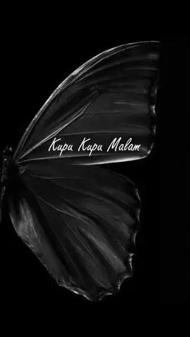 #musik #arielnoah #fypシ #liriklagu #musikindonesia #lagu2000an #nostalgia 