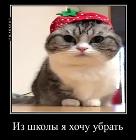 #английский #школа#убрать#бананчики 