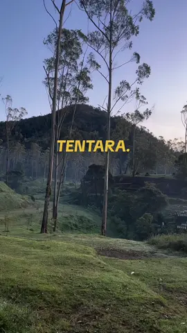 #tni #tniindonesia🇮🇩 #tniad #tnial #tniau #tarunaakmil #tarunaakademiangkatalaut #tarunaakademiangkatanudara #aau #aal #casis #catar #fyp #abdinegara #pejuangabdinegara #fypシ 