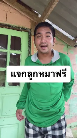 แจกลูกหมาฟรี 🐶 #ลูกหมา #หมา #แจก #กายtakemeout #กายเทคมีเอ้า #4จตุรเทพ #ชุมพร #ดูให้จบ 