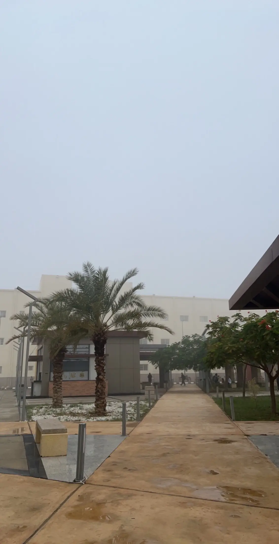يوم بدايته ضباب ونهايته مطر 🤍🌧️ #جامعة_الطائف #explore #foryou #foryoupage #fyp #taif #vira #الطائف 