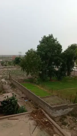 #الشعب_الصيني_ماله_حل😂😂 @النحال كرار ميسان #الشعب_الصيني_ماله_حل😂😂 شسم المنطقه العاش بيه اني ميسان كميت الجديه 