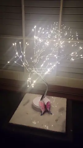 Usually mga sosyal lang meron nito kaya kala ko sobrang mahal nito, within the budget lang naman pala! 🥰 Grabe napakaganda ❤️😭 #artificialbonsaitree #bonsaitreelamp #bonsaitreelight #treelight #treelightlamp #treelamp #bonsaitreeledlamp #fyp #foryoupage #tiktokfindsph #giftideasph #budolfinds 