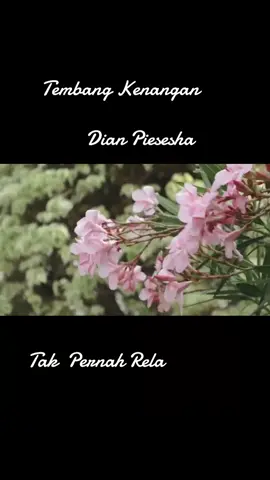 #dianpiesesha #tembangkenangan #fypシ 