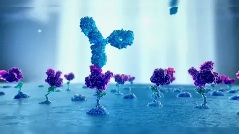 Unlocking the Secrets of Protein 3D Structure! 🧬✨ #ProteinStructure #ScienceExploration #Biochemistry101 #TikTokScience #LearnWithMe #longervideo 