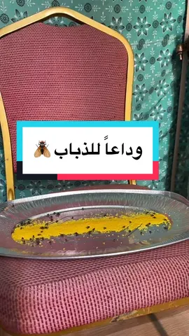 وداعاً للذباب 🪰#fly 