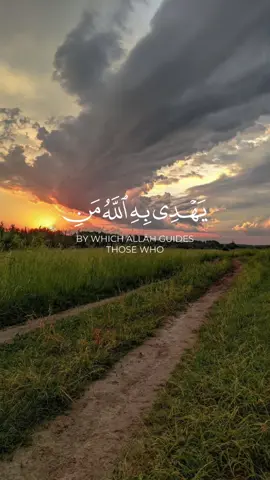 #يهدي_به_الله_من_اتبع_رضوانه #عزالدين_العوامي #سورة_المائدة#القران_الكريم #fypシ #fyyyyyyyyyyyyyyyy #viralvideo #quran__m99 #fypage @ايات الذكر الحكيم @ايات الذكر الحكيم 