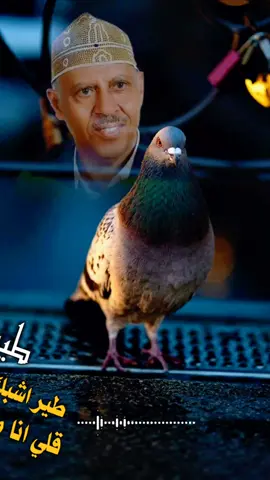 طير طير اشبك تشتكي قلي انا مثلك غريب...🥺💔☝#ايوب_طارش #اكسبلورررررررررررررررررررر #متابعه_ولايك_واكسبلور_احبكم #فضلا_وليس_امرا_وشكرا_للجميع___🙂💚 