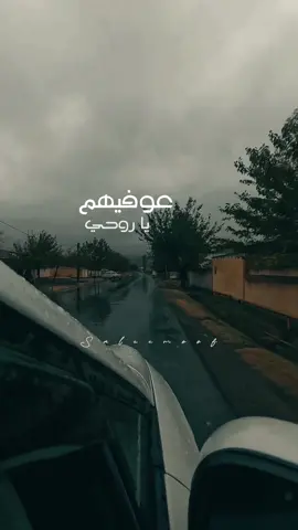 عوفيهم يا روحي 😏😌 #ماريد_عاشر_رح_قلل_ناسي #مابيه_حيل #سيف_عامر #saif3amer #music #song #songs #عائلتي #موسيقى #اغاني #lyricvideo #lyricsvideo #lyrics_songs   #tiktokmusic #tiktokarab #tiktoklongs #viral #fyp #foryou #foryoupage #fypシ #explore #اكسبلور  #دعم #مشاهدات #اكسبلورexplore #تصميم_فيديوهات🎶🎤🎬  @Saleem 