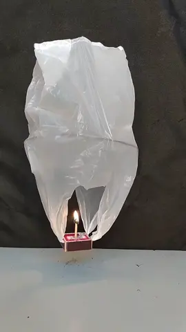 Balão Simples de Sacola Pet #viralvideo #lifehacks #lifehackstiktok #diyproject #ideasen5minutos 