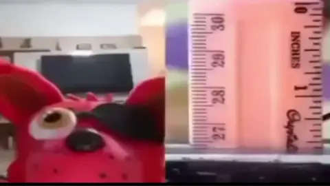 ##breakingruler #fnaf #plushies #thrown #funny #fivenightsatfreddys #viral #fyp #fypシ゚viral  #foxy #freddy 