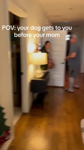 Finally reunite with my baby😭😭😭 #dog #dachshund #cute 