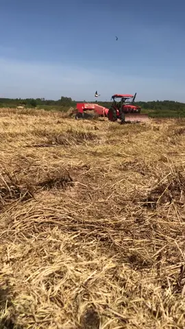 10ไร่เบาๆ😗#50บ้าพลัง #ไอ้หนุ่มรถไถ #ทีมงานบักขี้ดื้อ 