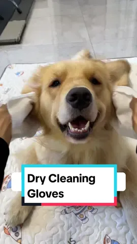 Get this Dry Cleaning Gloves to give your dog a relaxing bath!!🐶🐾