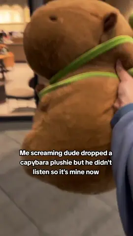 Come home with me capybara #stuffedcapybara #capybaraplushies #capybaraplush #capybaralovers 